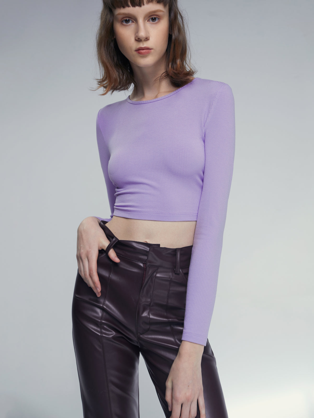 Mauve Crewneck Long Sleeve Stretch Cropped Top