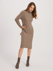 Texture Mockneck Sweater Dress