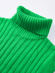 Turtleneck Rib Sweater Vest