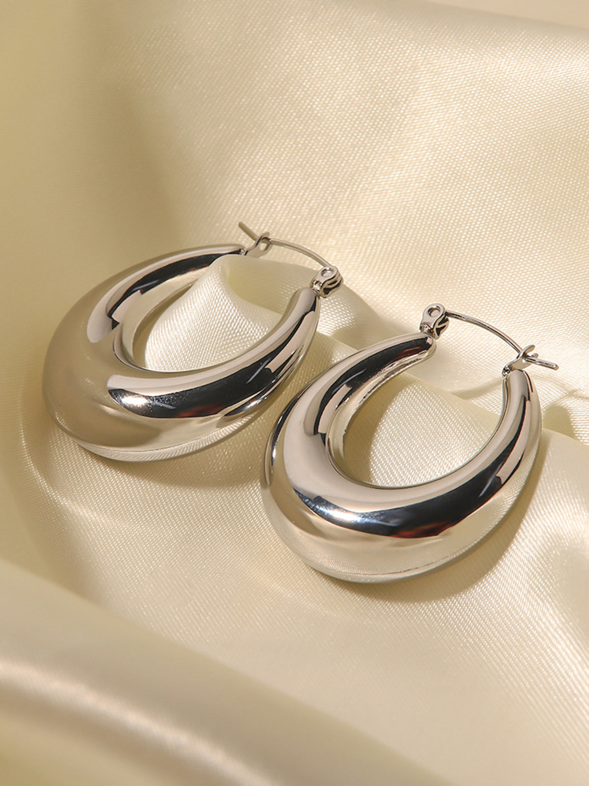 Silver Loop Earrings