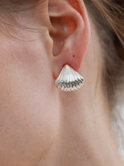 Shell Shape Earrings