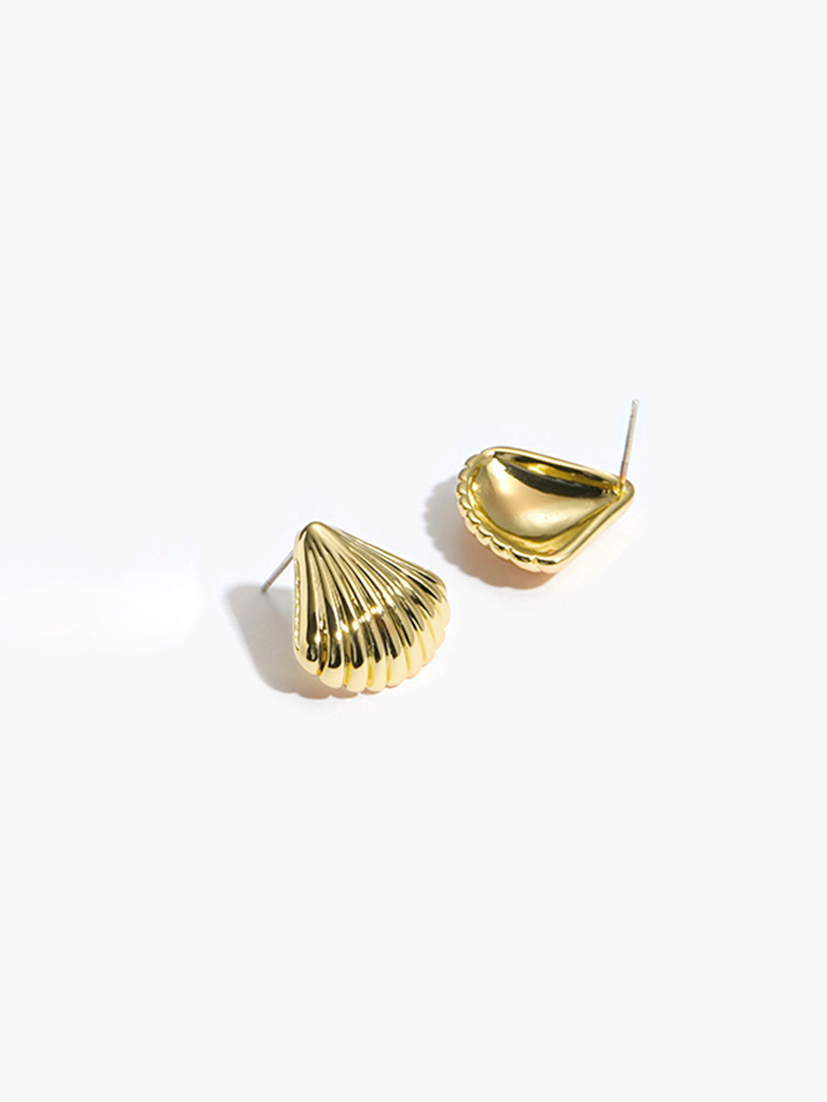 Shell Shape Earrings